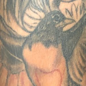 Meet your Posher, Robin